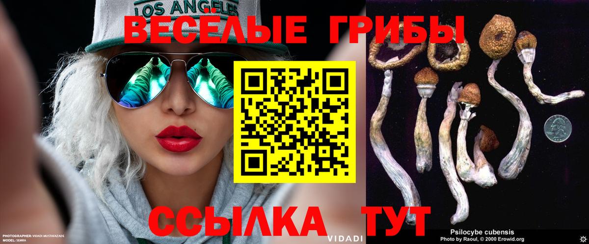 Галлюциногенные грибы Psilocybe Горячий Ключ